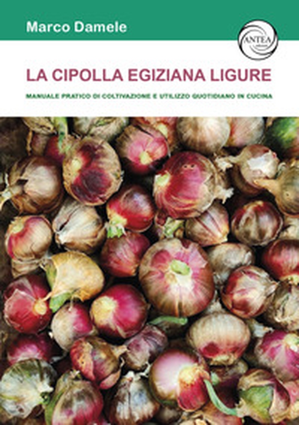 La cipolla egiziana ligure. Manuale pratico di coltivazione e utilizzo quotidiano in cucina - Librerie.coop La cipolla egiziana ligure. Manuale pratico di coltivazione e utilizzo quotidiano in cucina - Librerie.coop