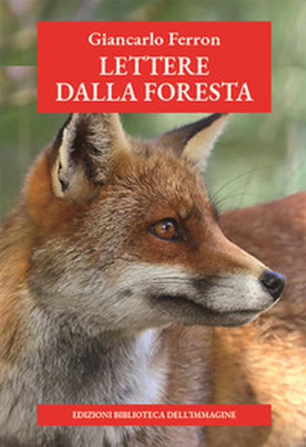 Lettere dalla foresta - Librerie.coop Lettere dalla foresta - Librerie.coop