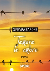 Temere le ombre - Librerie.coop