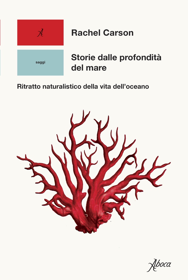 Storie dalle profondità del mare - Librerie.coop Storie dalle profondità del mare - Librerie.coop