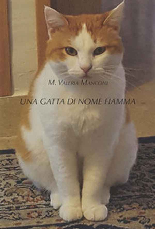 Una gatta di nome Fiamma - Librerie.coop Una gatta di nome Fiamma - Librerie.coop