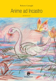 Anime ad incastro - Librerie.coop