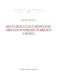 Res publico usui destinatae.I beni di interesse pubblico a Roma - Librerie.coop
