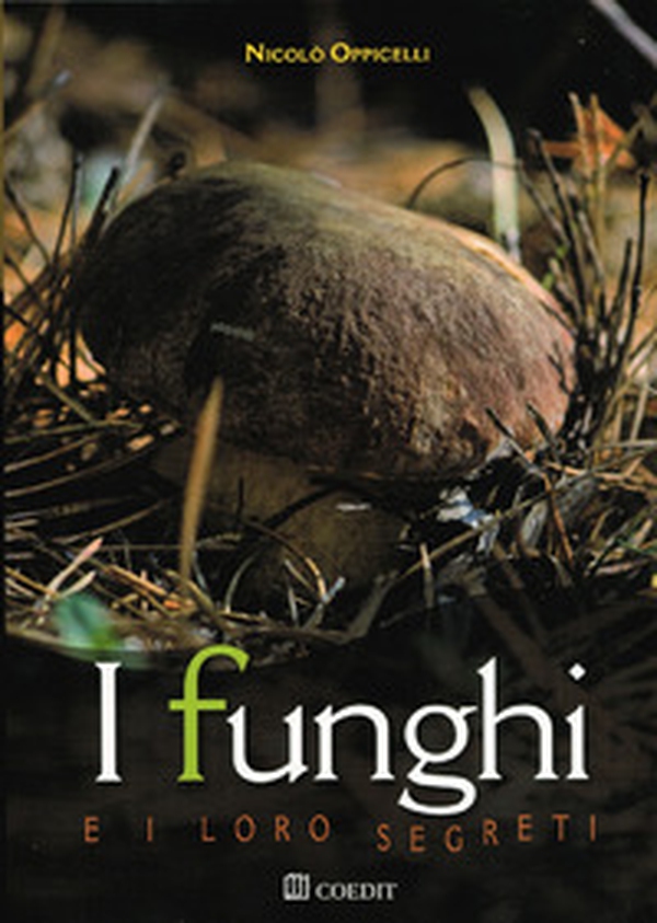 I funghi e i loro segreti. Riconoscerli, trovarli, gustarli... - Librerie.coop I funghi e i loro segreti. Riconoscerli, trovarli, gustarli... - Librerie.coop