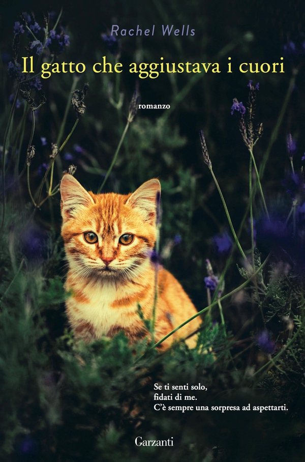 Il gatto che aggiustava i cuori - Librerie.coop Il gatto che aggiustava i cuori - Librerie.coop