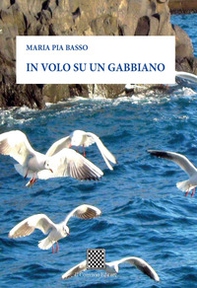 In volo su un gabbiano - Librerie.coop