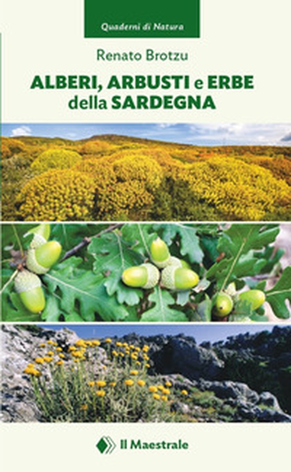 Alberi, arbusti e erbe della Sardegna - Librerie.coop Alberi, arbusti e erbe della Sardegna - Librerie.coop