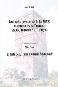 Iuvat castris montem qui dicitur Matese et magnum vestire Taburnum: Guardia, Torrecuso, Via Francigena. La festa dell'Assunta a Guardia Sanframondi - Librerie.coop