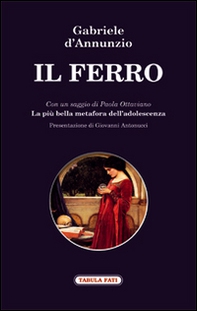 Il ferro - Librerie.coop Il ferro - Librerie.coop