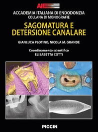 Sagomatura e detersione canalare - Librerie.coop Sagomatura e detersione canalare - Librerie.coop