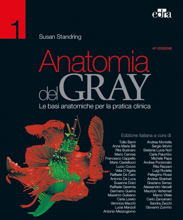 Anatomia del Gray 41 ed. - Librerie.coop Anatomia del Gray 41 ed. - Librerie.coop