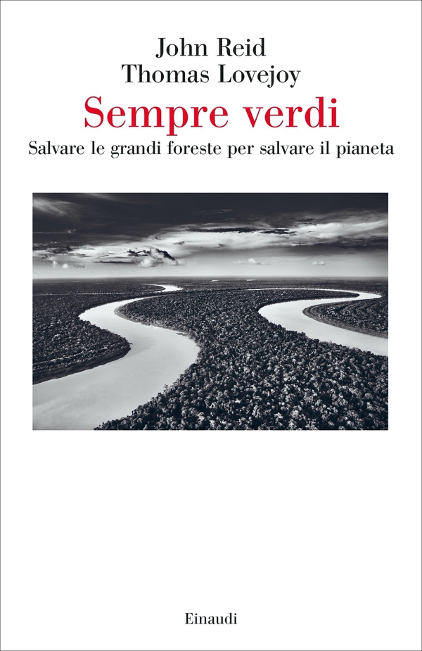 Sempre verdi - Librerie.coop Sempre verdi - Librerie.coop