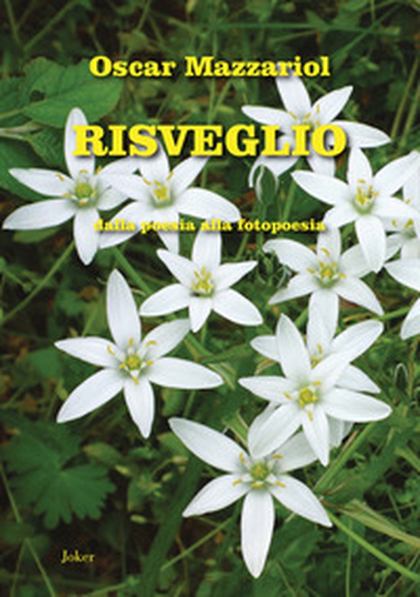 Risveglio. Dalla poesia alla fotopoesia - Librerie.coop Risveglio. Dalla poesia alla fotopoesia - Librerie.coop