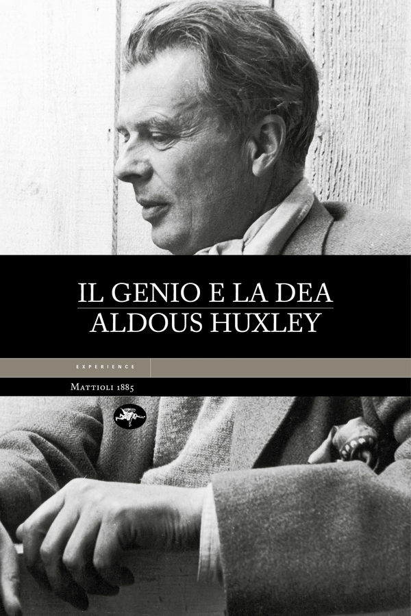 Il genio e la dea - Librerie.coop Il genio e la dea - Librerie.coop