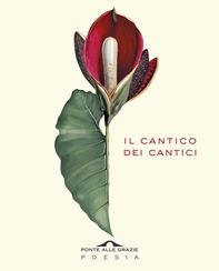 Il Cantico dei Cantici - Librerie.coop