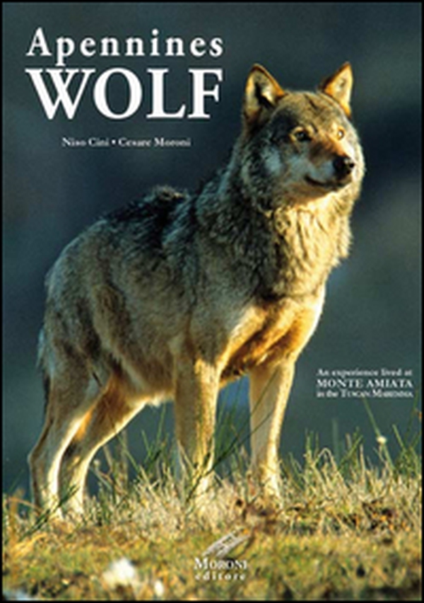 Appennines Wolf. An experience lived at Monte Amiata in the Tuscan Maremma - Librerie.coop Appennines Wolf. An experience lived at Monte Amiata in the Tuscan Maremma - Librerie.coop