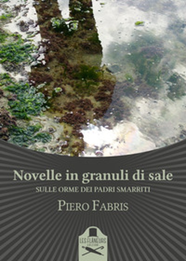 Novelle in granuli di sale. Sulle orme dei padri smarriti - Librerie.coop