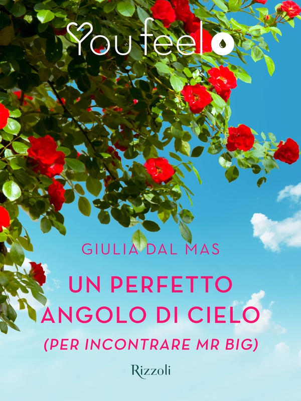 Un perfetto angolo di cielo (per incontrare Mr Big) (Youfeel) - Librerie.coop Un perfetto angolo di cielo (per incontrare Mr Big) (Youfeel) - Librerie.coop