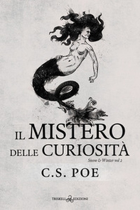 Il mistero delle curiosità. Snow & Winter - Vol. 2 - Librerie.coop