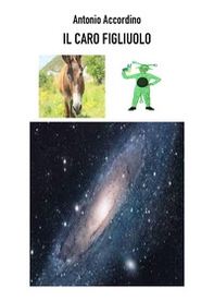 Il caro figliuolo - Librerie.coop