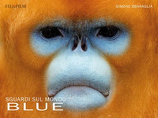 Sguardi sul mondo: Blue - Librerie.coop Sguardi sul mondo: Blue - Librerie.coop
