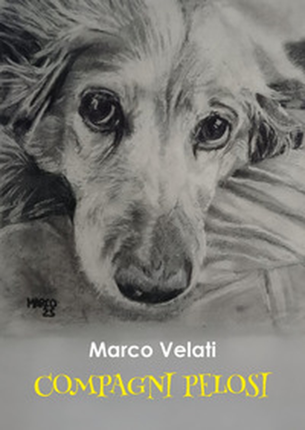 Compagni pelosi - Librerie.coop