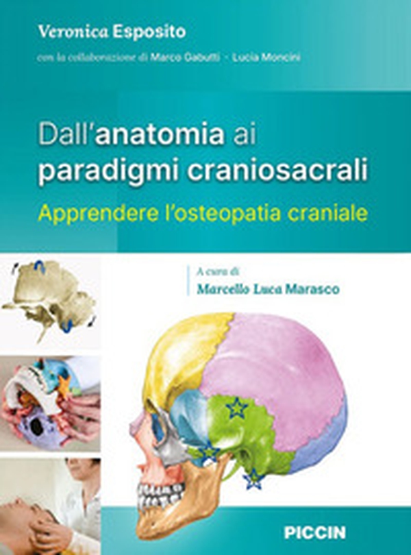 Dal'anatomia ai paradigmi craniosacrali. Apprendere l'osteopatia craniale - Librerie.coop