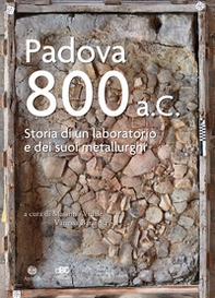Padova 800 a.C. Storia di un laboratorio e dei suoi metallurghi - Librerie.coop