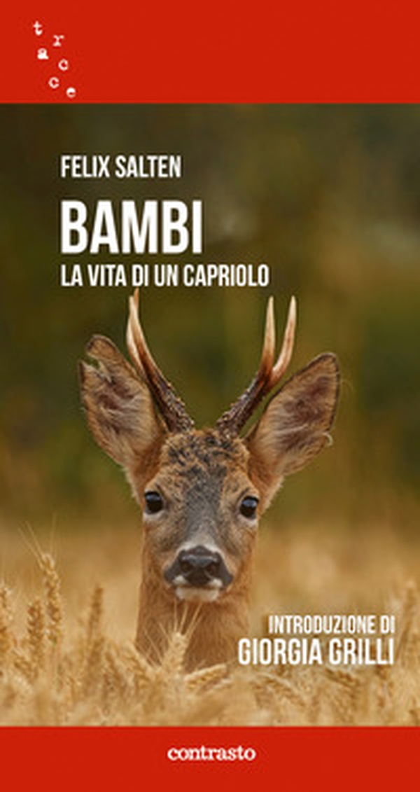 Bambi. La vita di un capriolo - Librerie.coop Bambi. La vita di un capriolo - Librerie.coop