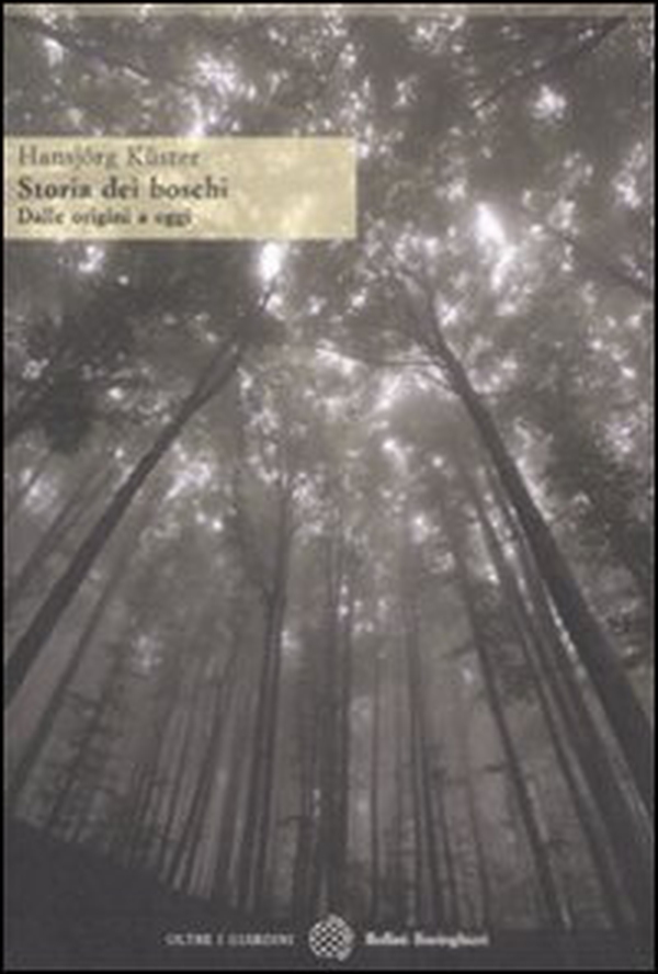 Storia dei boschi. Dalle origini a oggi - Librerie.coop Storia dei boschi. Dalle origini a oggi - Librerie.coop