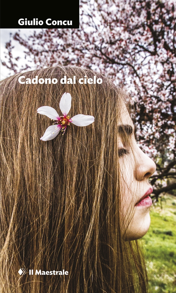 CADONO DAL CIELO - Librerie.coop CADONO DAL CIELO - Librerie.coop