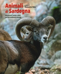 Animali di Sardegna. Mammiferi, anfibi e rettili nel loro ambiente naturale - Librerie.coop