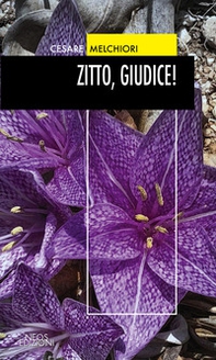 Zitto, giudice! - Librerie.coop