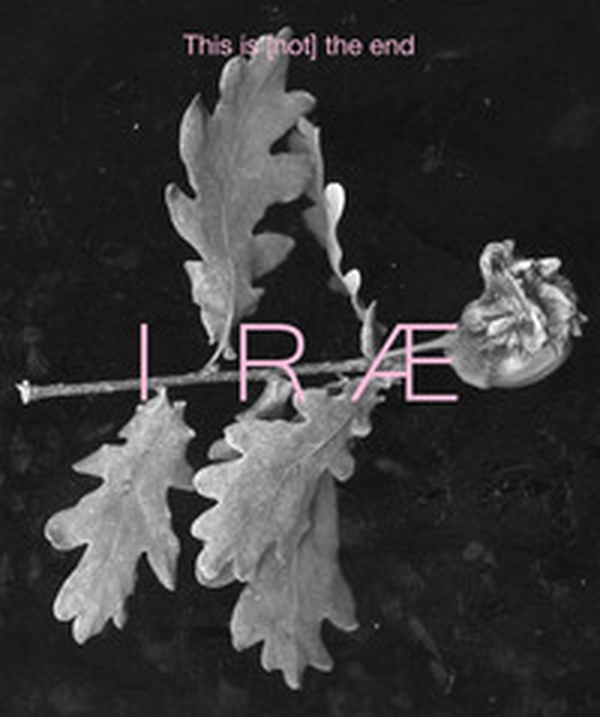 Irae. This is (not) the end. Ediz. italiana - Vol. 2 - Librerie.coop Irae. This is (not) the end. Ediz. italiana - Vol. 2 - Librerie.coop