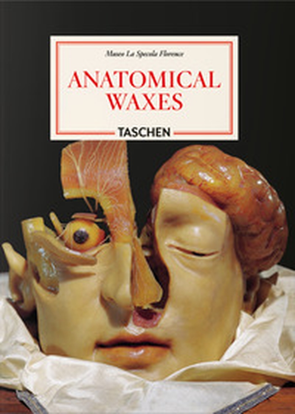 Anatomical waxes. 45th Ed. Ediz. inglese, francese e tedesca - Librerie.coop Anatomical waxes. 45th Ed. Ediz. inglese, francese e tedesca - Librerie.coop