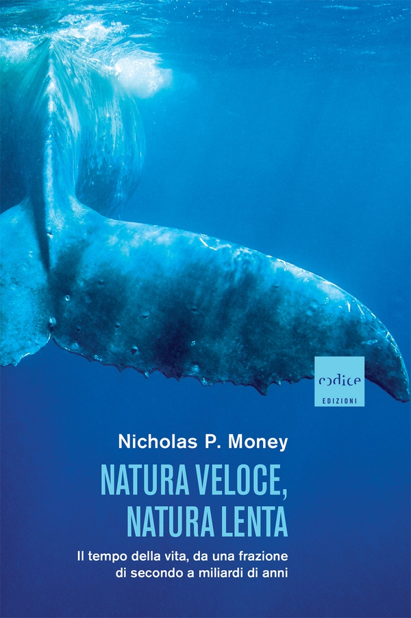 Natura veloce, natura lenta - Librerie.coop Natura veloce, natura lenta - Librerie.coop