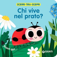 Chi vive nel prato? Scorri, tira e scopri - Librerie.coop