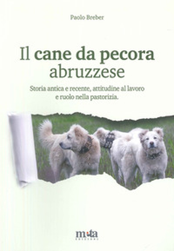 Il cane da pecora abruzzese. Storia antica e recente, attitudine al lavoro e ruolo nella pastorizia - Librerie.coop