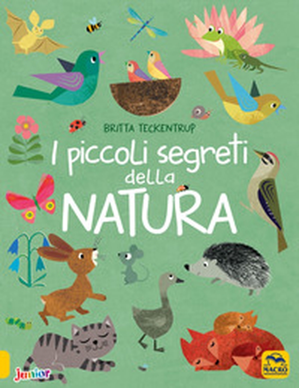 I piccoli segreti della natura - Librerie.coop I piccoli segreti della natura - Librerie.coop