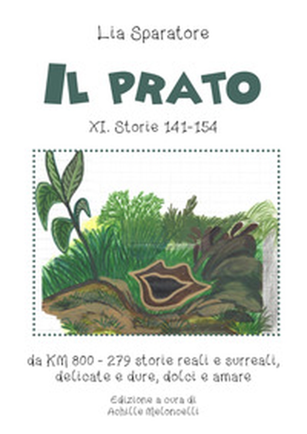 Il prato XI. Storie 141-154, da KM 800-279 storie reali e surreali, delicate e dure, dolci e amare - Librerie.coop Il prato XI. Storie 141-154, da KM 800-279 storie reali e surreali, delicate e dure, dolci e amare - Librerie.coop