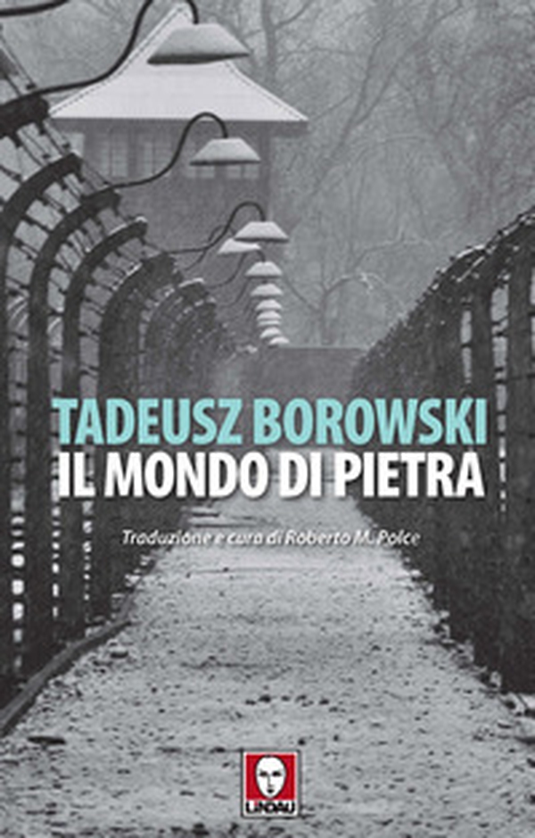 Il mondo di pietra - Librerie.coop Il mondo di pietra - Librerie.coop