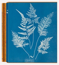 Anna Atkins. Cyanotypes. Ediz. inglese, francese e tedesca - Librerie.coop Anna Atkins. Cyanotypes. Ediz. inglese, francese e tedesca - Librerie.coop
