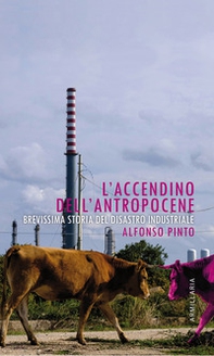 L'accendino dell'Antropocene. Brevissima storia del disastro industriale - Librerie.coop