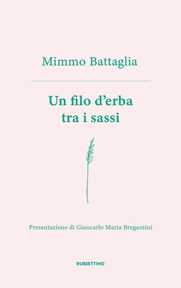 Un filo d’erba tra i sassi - Librerie.coop Un filo d’erba tra i sassi - Librerie.coop