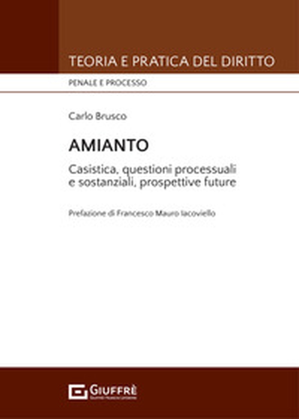 Amainto. Casistica, questioni processuali e sostanziali, prospettive future - Librerie.coop