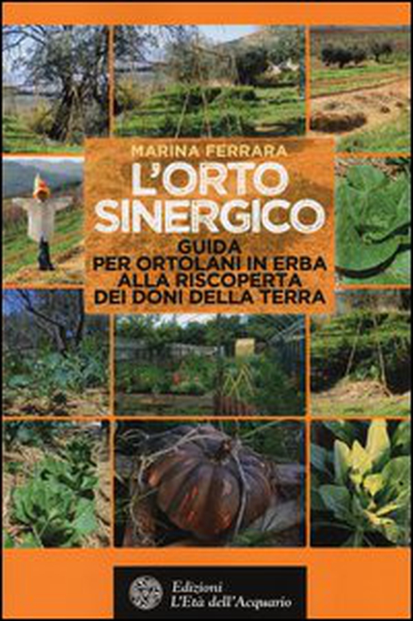 L'orto sinergico. Guida per ortolani in erba alla riscoperta dei doni della terra - Librerie.coop L'orto sinergico. Guida per ortolani in erba alla riscoperta dei doni della terra - Librerie.coop