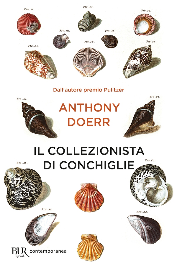 Il collezionista di conchiglie - Librerie.coop Il collezionista di conchiglie - Librerie.coop