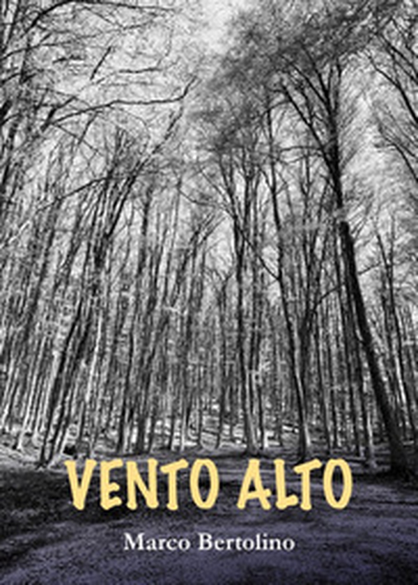 Vento alto - Librerie.coop Vento alto - Librerie.coop