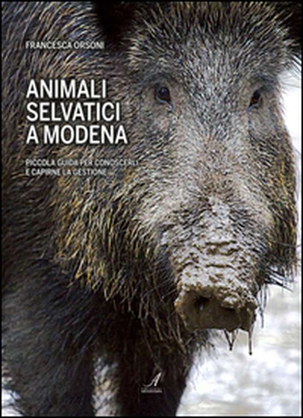 Animali selvatici a Modena. Piccola guida per conoscerli e capirne la gestione - Librerie.coop Animali selvatici a Modena. Piccola guida per conoscerli e capirne la gestione - Librerie.coop