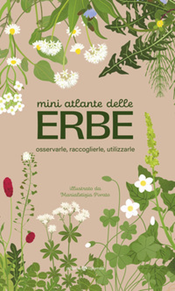 Mini atlante delle erbe. Osservarle, raccoglierle, utilizzarle - Librerie.coop